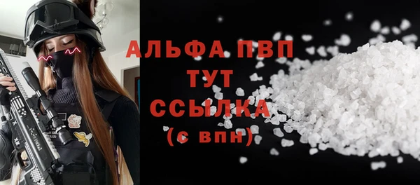 шишки Белоозёрский