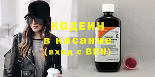 шишки Белоозёрский
