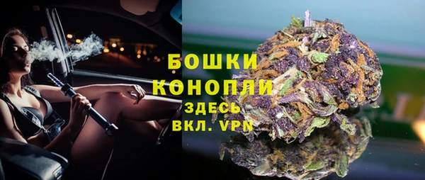 шишки Белоозёрский