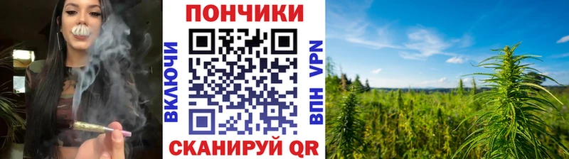 Шишки марихуана гибрид купить наркоту Козьмодемьянск